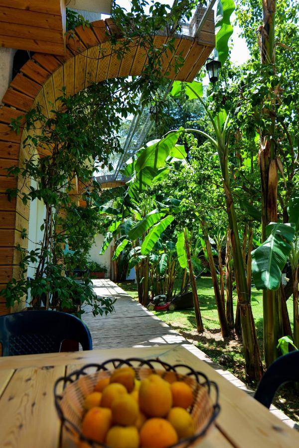 Villa Green Garden Sarandë Buitenkant foto