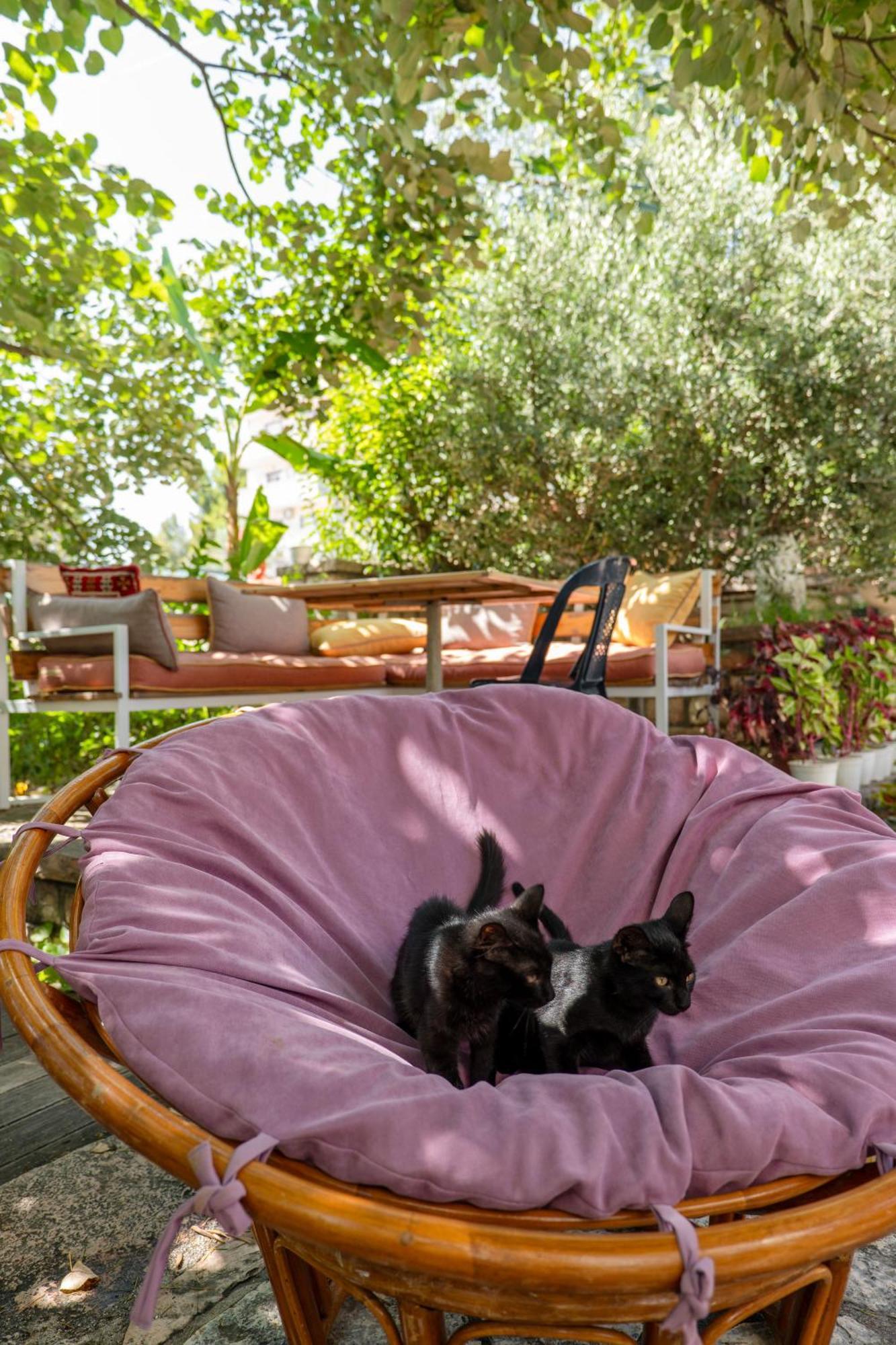 Villa Green Garden Sarandë Buitenkant foto