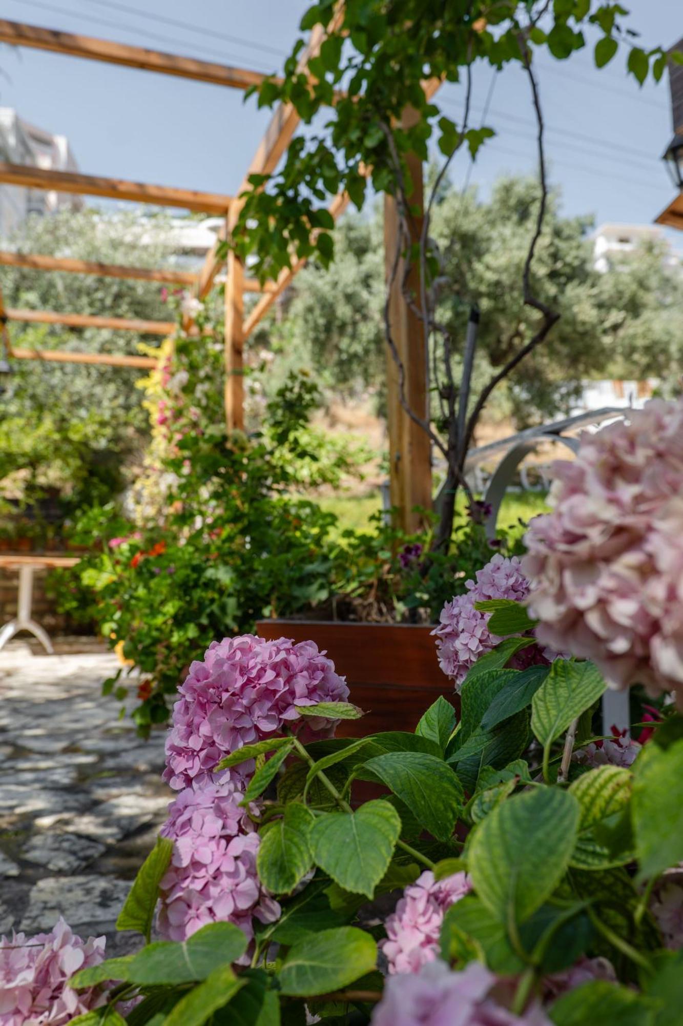 Villa Green Garden Sarandë Buitenkant foto